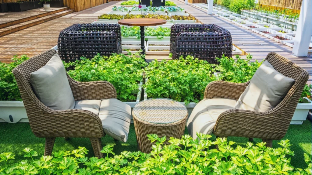 Budget-Friendly Decor and Furniture