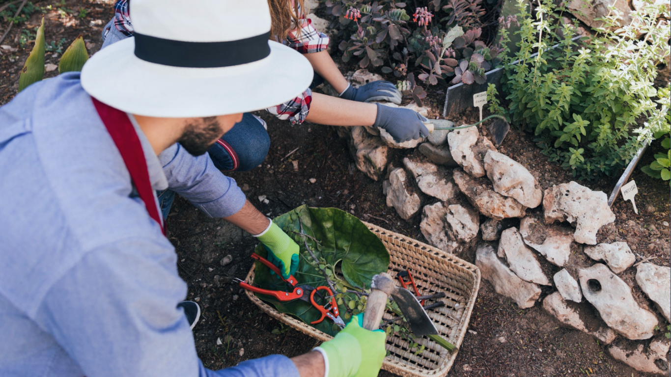 How to Upgrade My Garden Homemendous