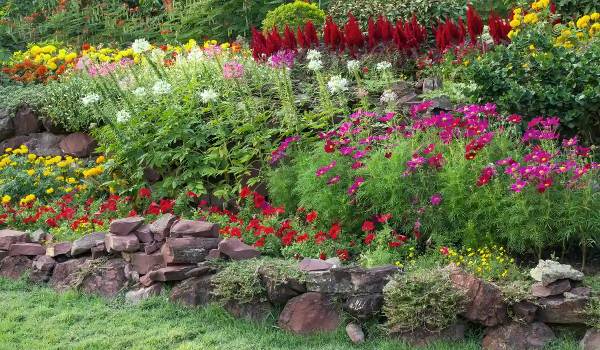 Beautiful Garden