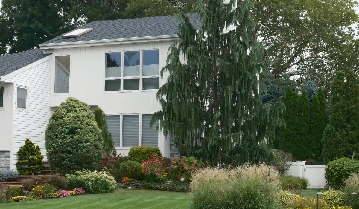 Modern Suburban Living