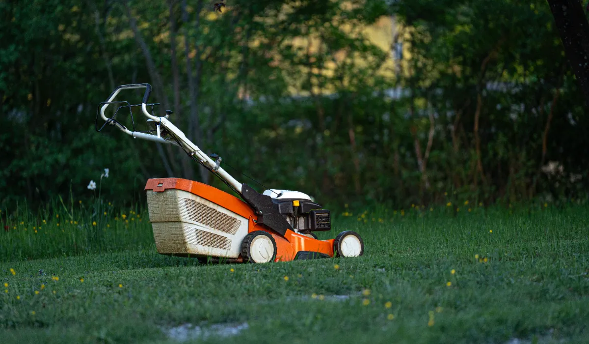 Seasonal Landscaping Maintenance