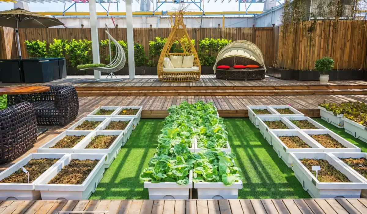 Transform Your Backyard