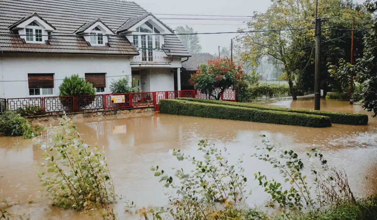 Water Damage Company in Garland